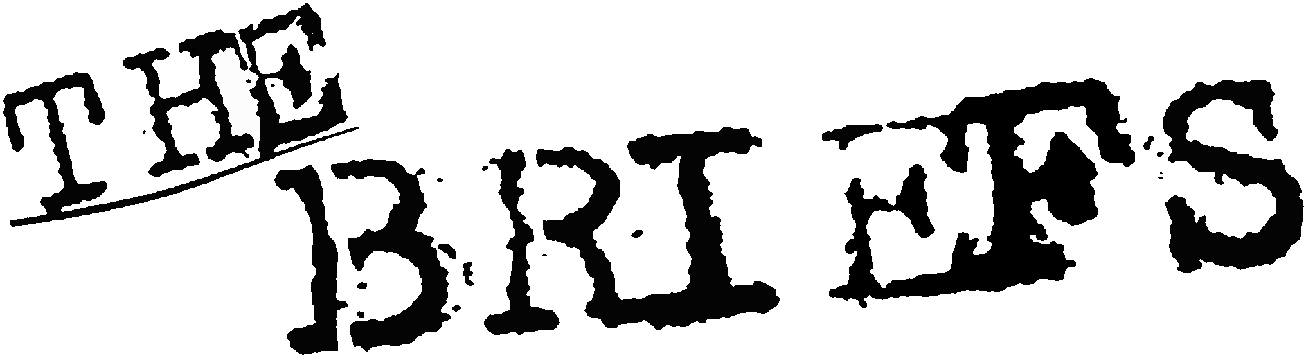 briefs.gif
