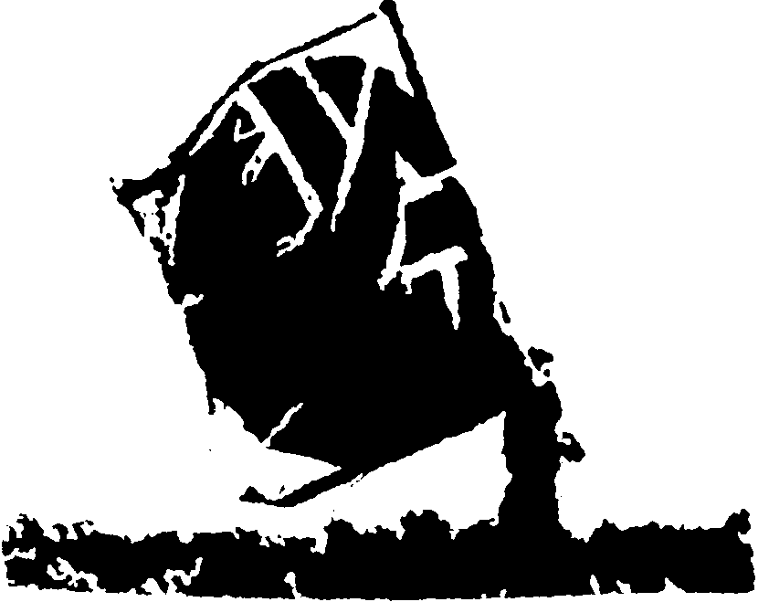 crass_flag.gif