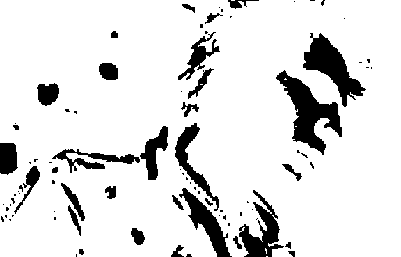sid.gif
